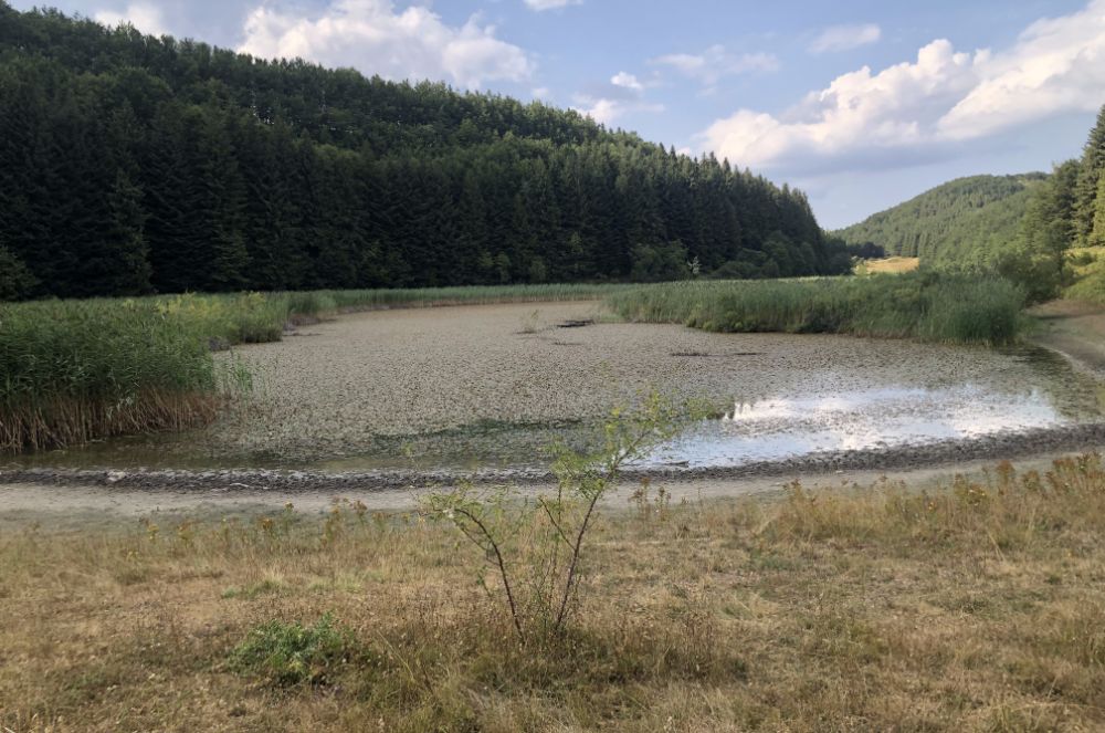 vista dalla parte sud del Lago di Pratignano