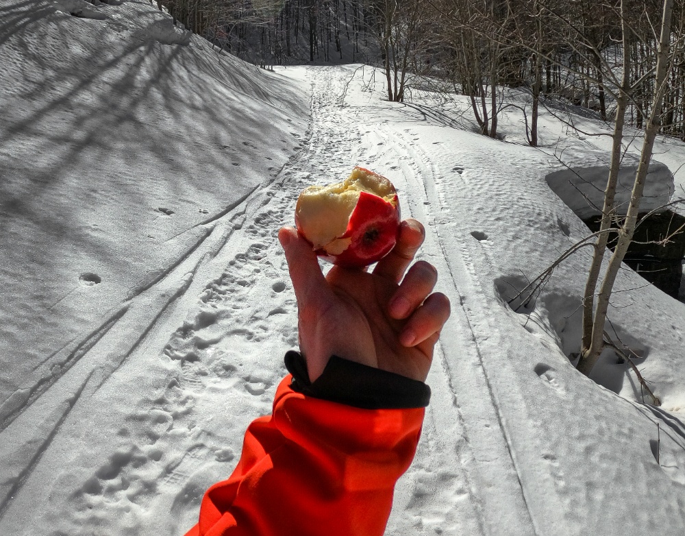 spuntini per lo zaino da trekking
