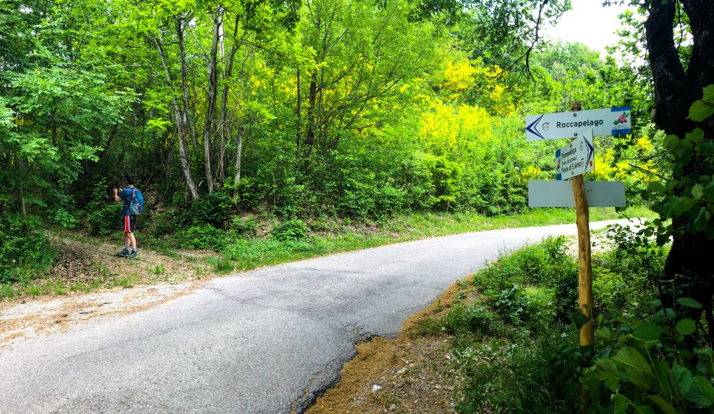 sentiero dei due ponti trekking pievepelago ponte della fola