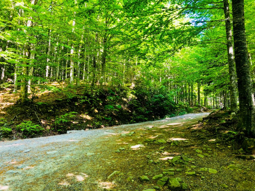 trekking appennino modenese