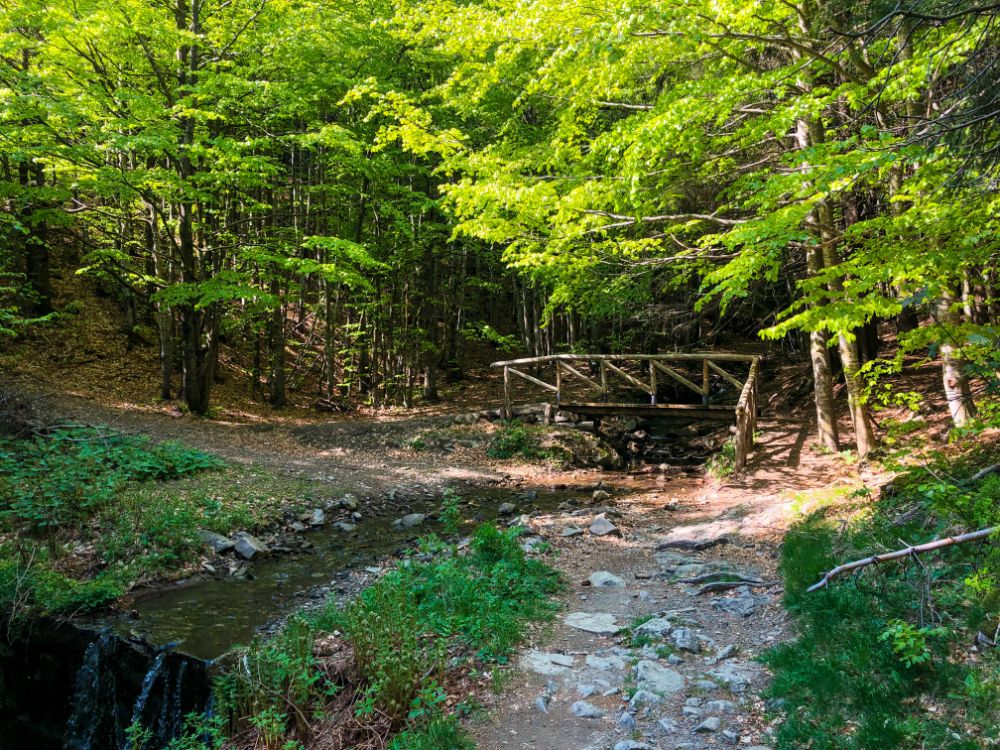 trekking appennino modenese