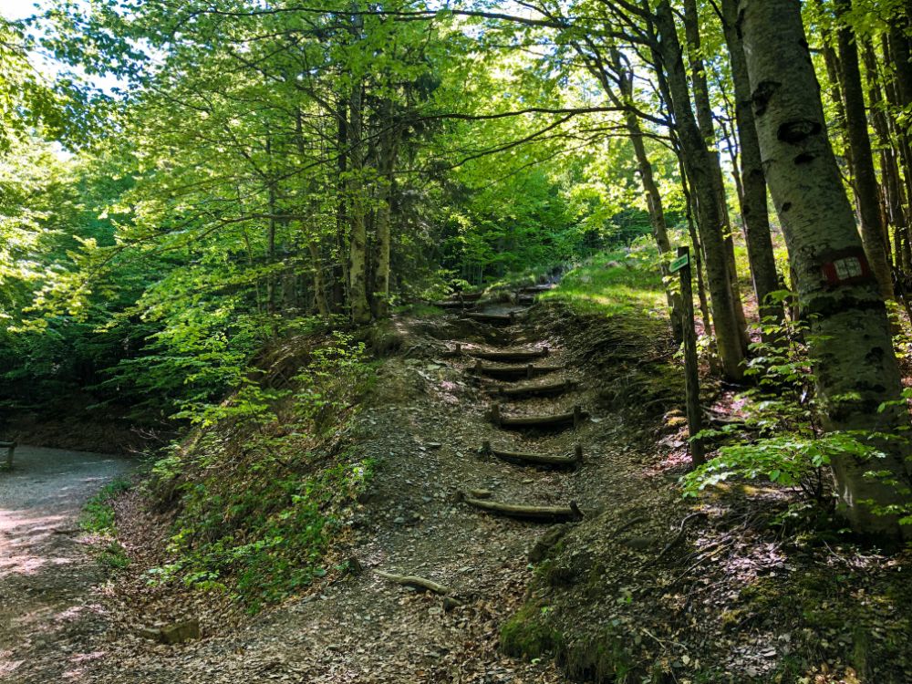 trekking appennino modenese