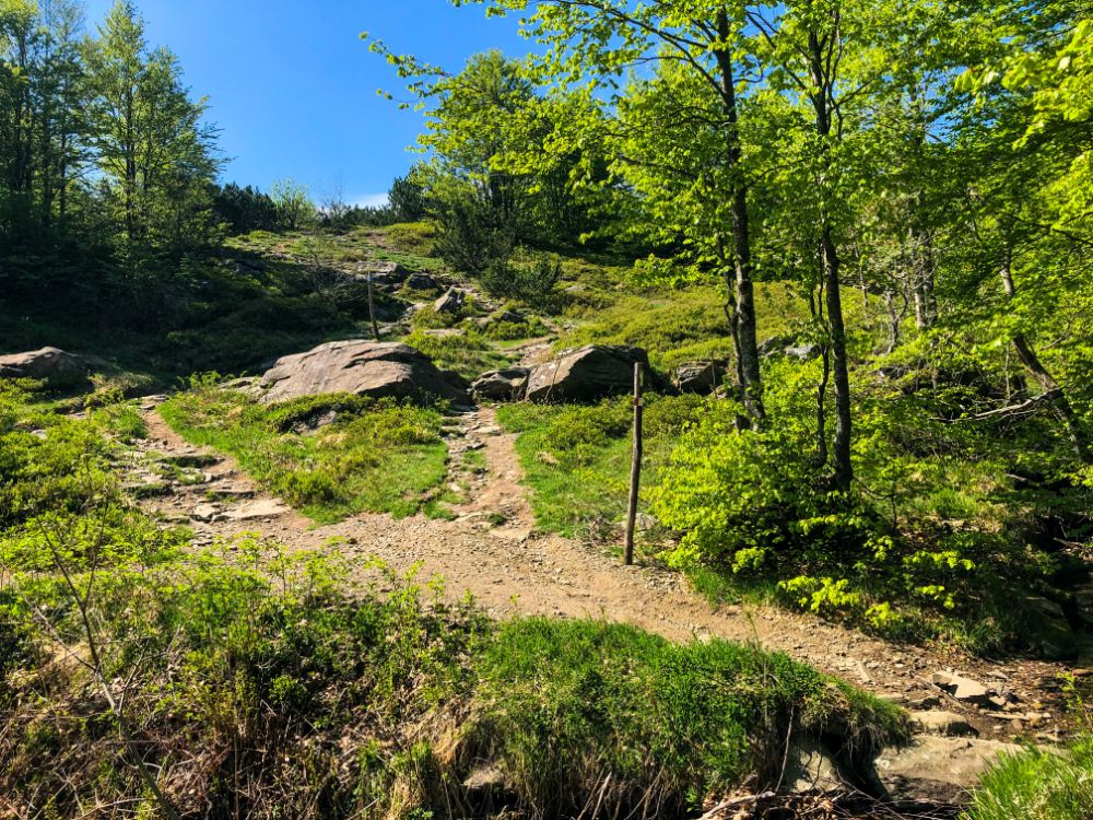 trekking appennino modenese