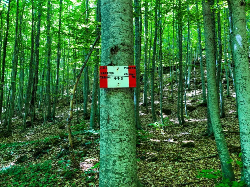 trekking appennino modenese