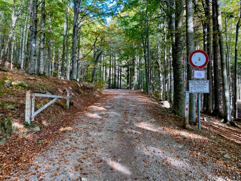 strada forestale passo croce arcana