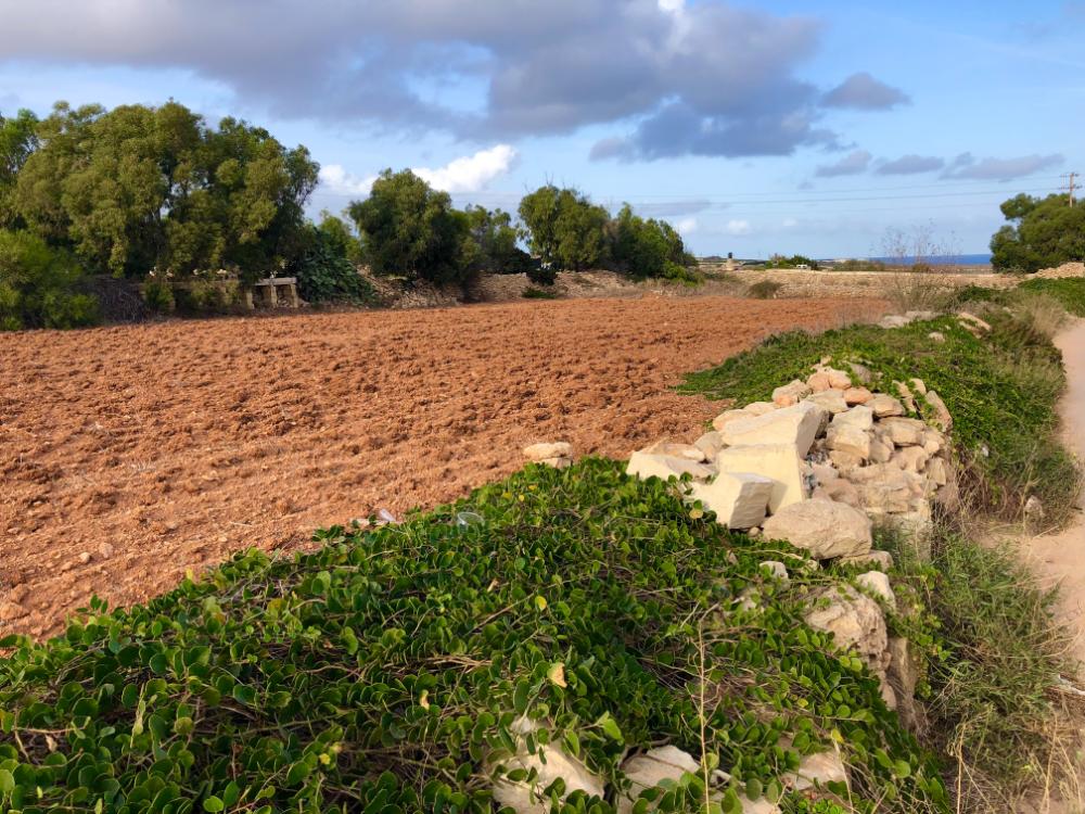 curiosità su malta