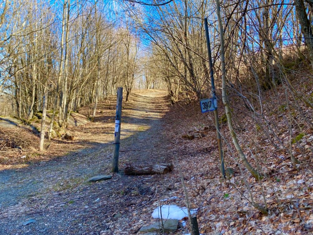 trekking panoramico in appennino modenese