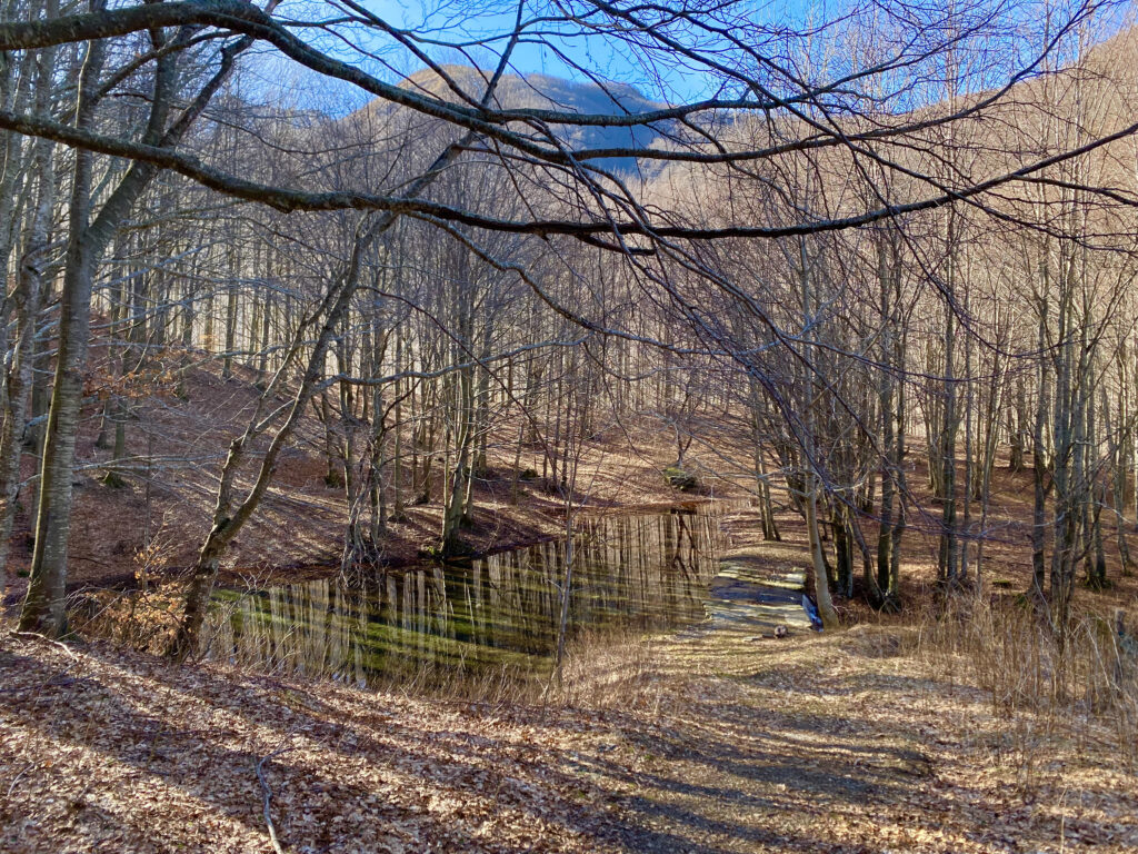 trekking nel bosco in appennino modenese