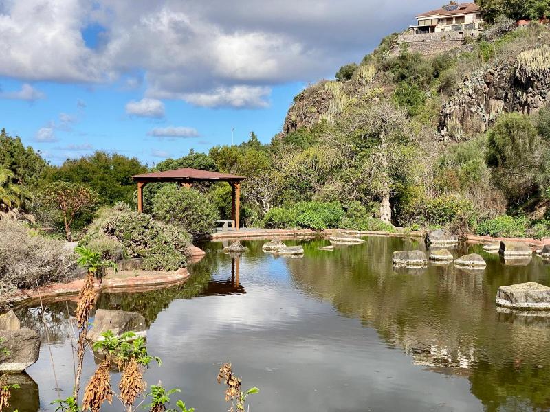 Giardino botanico canario