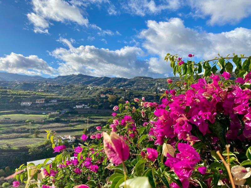 Viaggio in auto a gran Canaria