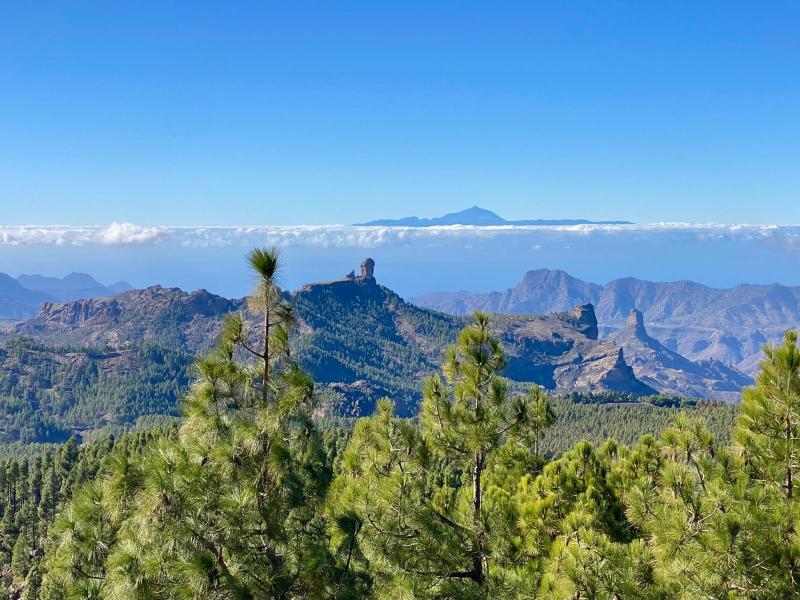 cosa vedere a Gran Canaria