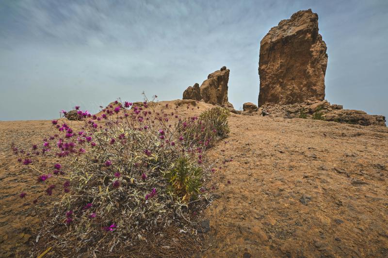 on the road a Grand Canaria